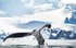 Antarctica Expeditions