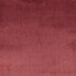 ap_velour-damson