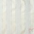 AP_AMMONITE-CANVAS