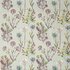 AP_ALLIUM-JEWEL