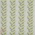 AP_cadiz-zest
