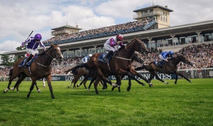 Horse racing tips August 13: Horses to back at Nottingham, Ffos Las, Lingfield, Carlisle | Racing | Sport