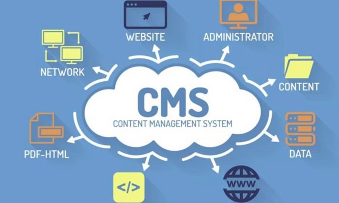 ¿Qué es un CMS? qué es un cms ¿Qué es un CMS? Pulso Digital