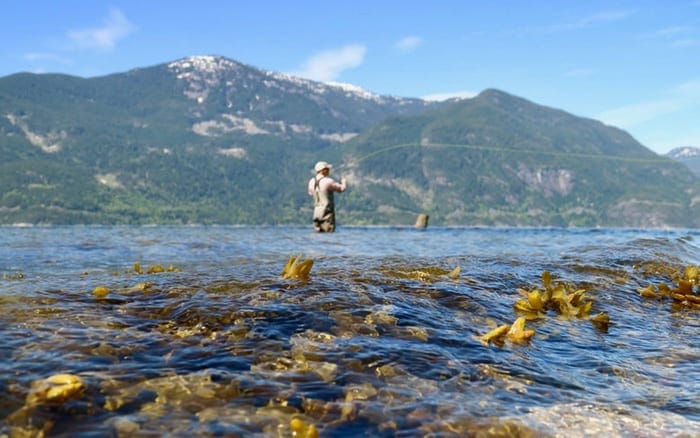 vancouver beach fishing