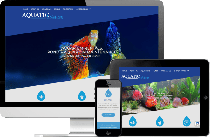 Aquatic Solutions website