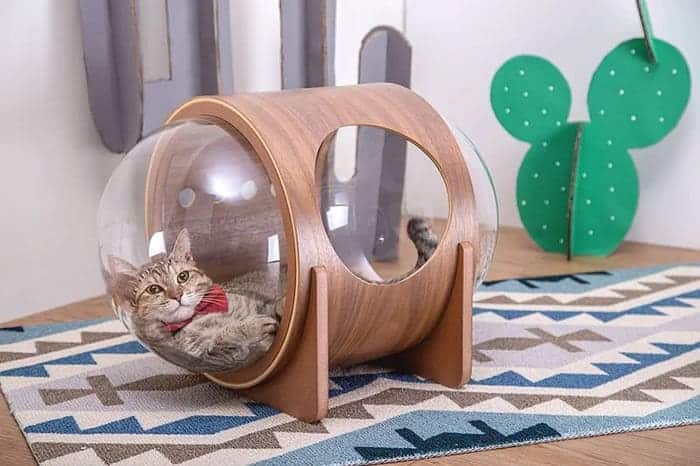 cuccia-per-gatti-myzoo-studio-17 cuccia-per-gatti-myzoo-studio-17