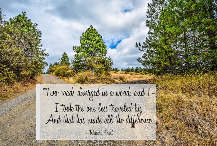 Two roads diverged in a wood, and I— I took the one less traveled by, And that has made all the difference. - Robert Frost