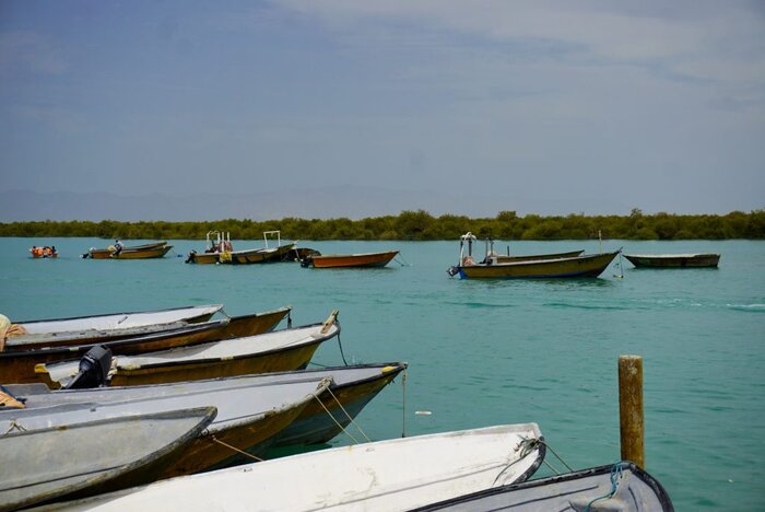 Hara forest, Qeshm, Iran – Experiencing the Globe