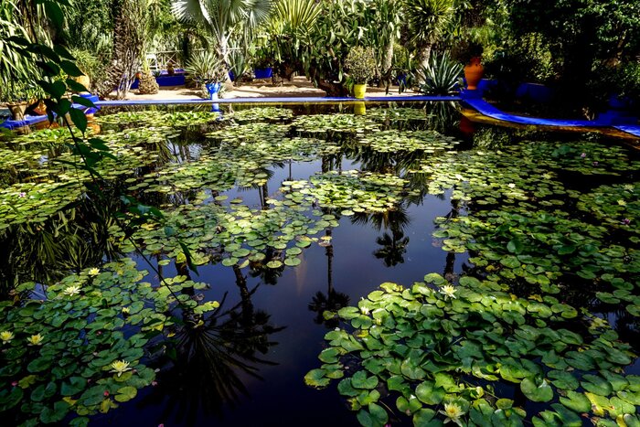 Majorelle Garden, Marrakesh, Morocco - Experiencing the Globe