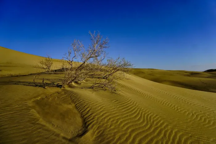 Varzaneh desert, Isfahan province, Iran – Experiencing the Globe