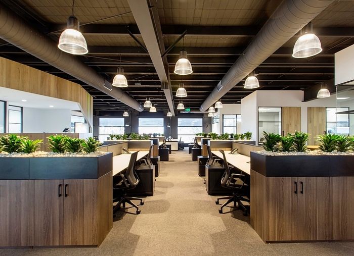 Design Startup Office