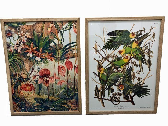 dybdahl posters bloemen en vogels dybdahl posters bloemen en vogels