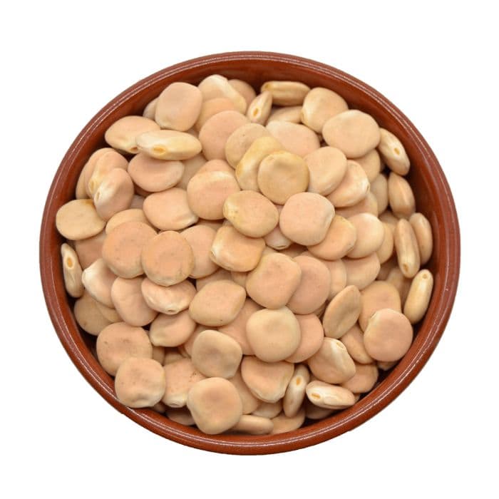 Altramuces