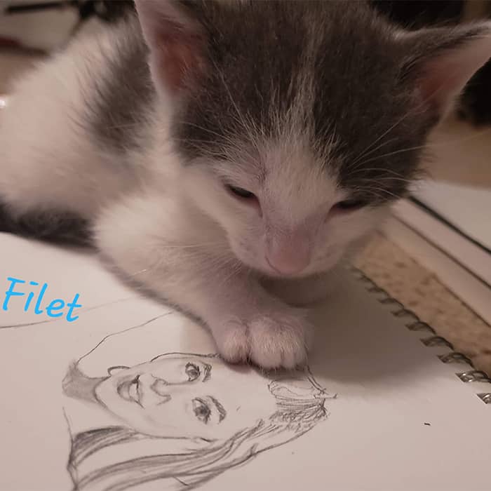 filet Filet – Adopted