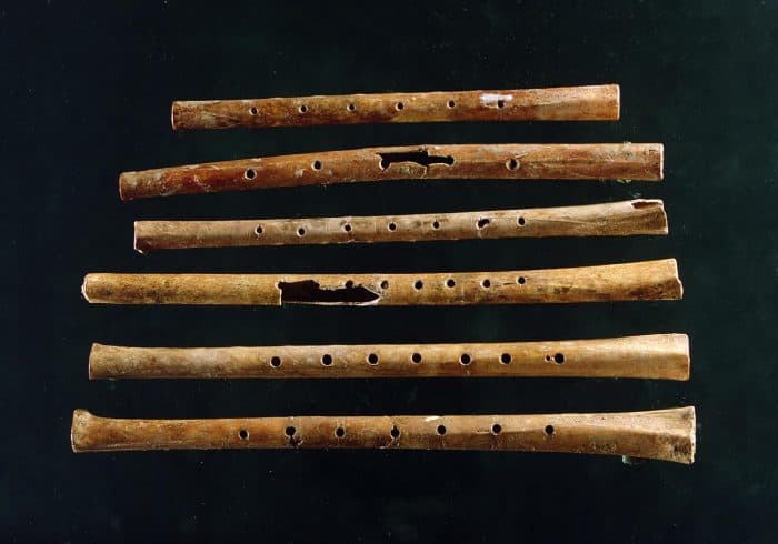 Oldest Playable Instrument