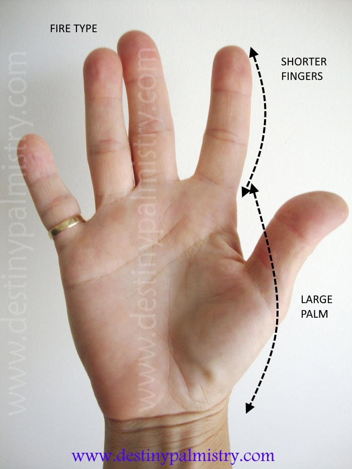 large palm, short fingers
