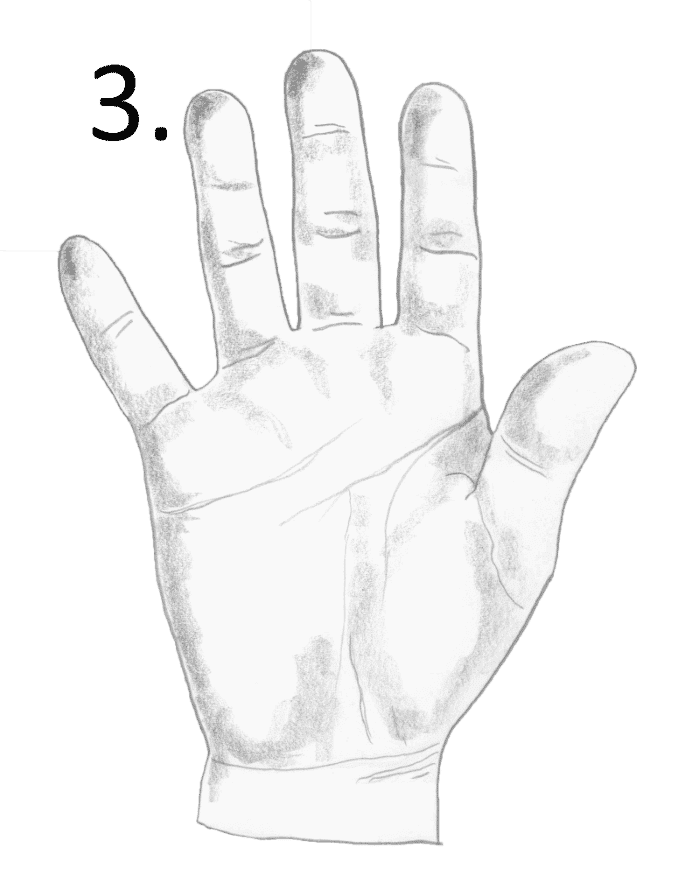 square palm