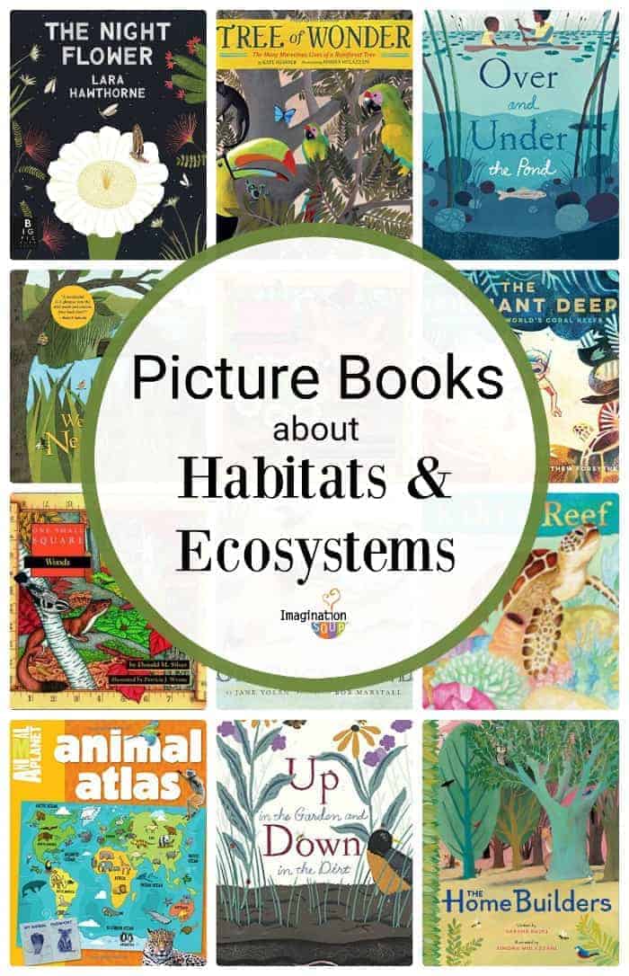 picture books about habitats and ecosystems
