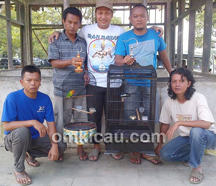 Si Doel Tabah andalkan kacer Indigo.