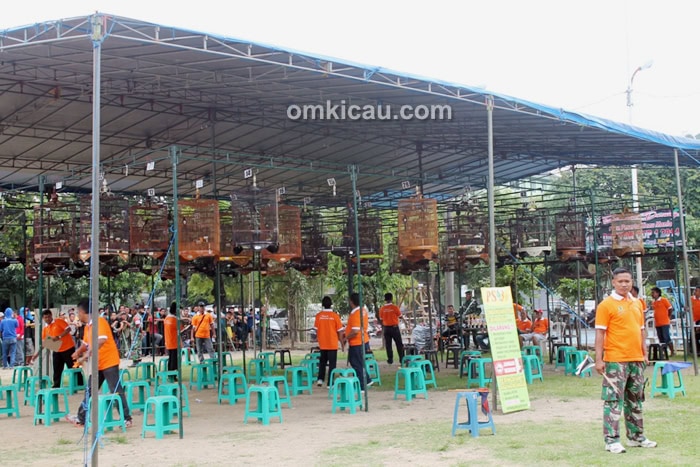 Lomba Burung Berkicau Danyon Cup