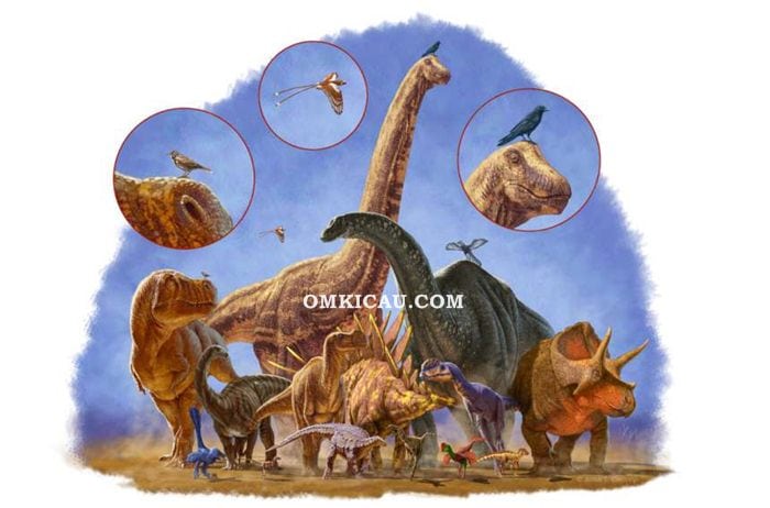 Dinosaurus menyusut menjadi burung