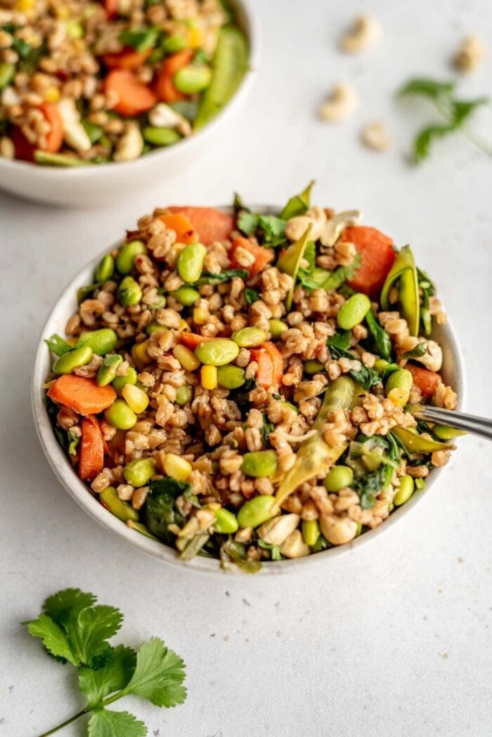 A bowl of fried farro with carrot, snow peas, edamame and spinach.