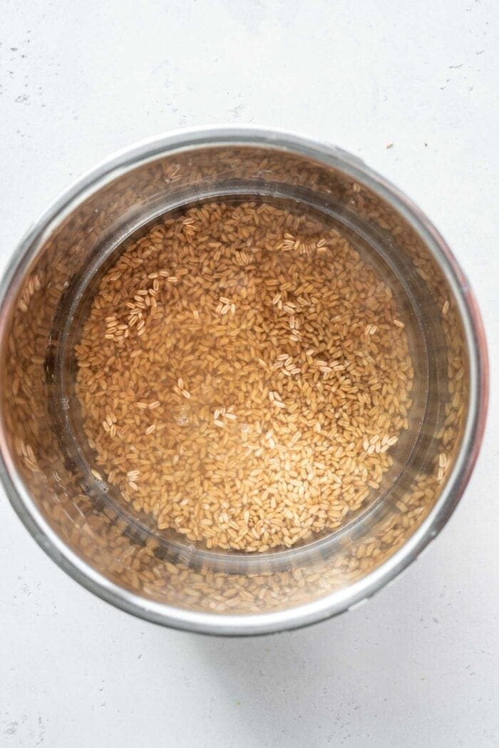 Uncooked farro in an Instant Pot with water and salt.