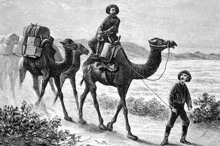 Black and white etching of man leading string of pack camels. Another man rides on top of the first camel.