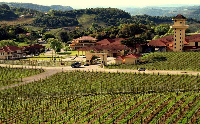 Vale dos Vinhedos