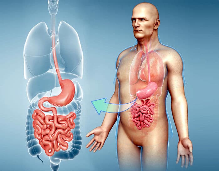 Frecuentes movimientos intestinales seguidos por estreñimiento: ¿es culpable el síndrome del intestino irritable?