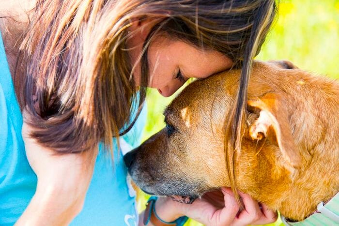 "Hunde geben den Menschen ein gutes Gefühl"