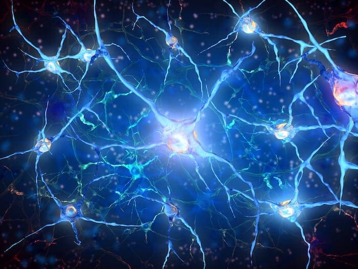 Um novo estudo explora como o cérebro pode antecipar eventos e o que acontece com esse mecanismo em algumas condições neurodegenerativas