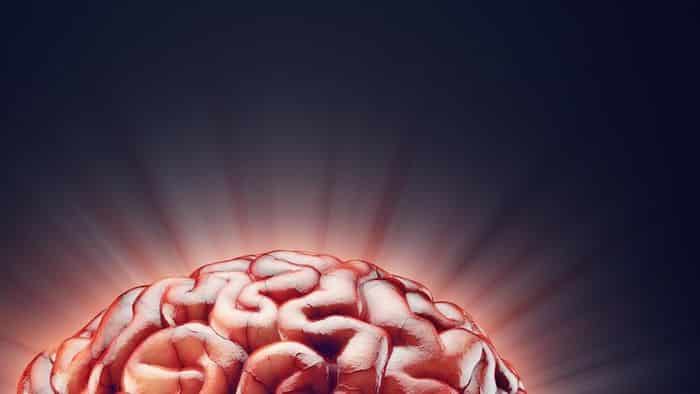 La dépendance altère la fonction des circuits de récompense dans le cerveau