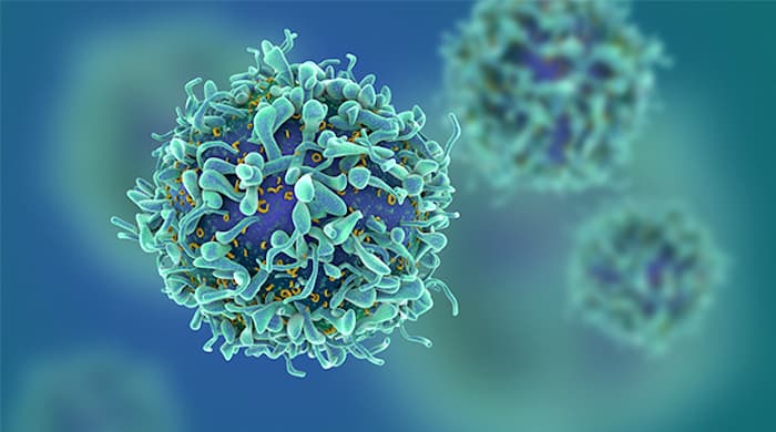 As células cancerígenas são "astutas", mas os pesquisadores zombaram delas.