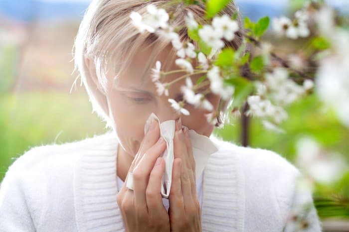 Medicamentos que alivian la rinitis alérgica