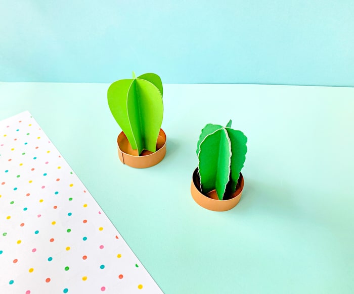 Putting Cactus Together
