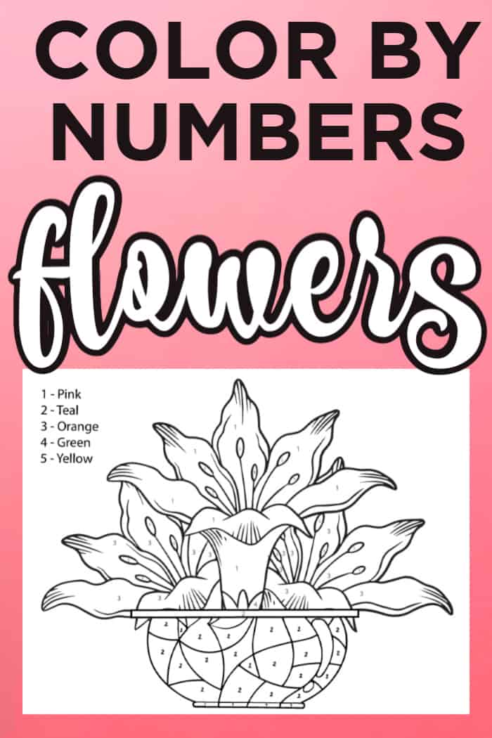 Color By Number- Flowers Coloring Pages For Kids