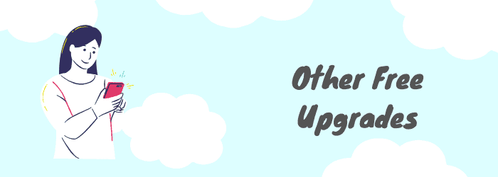 other options other free upgrades