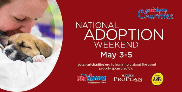 National Adoption Weekend