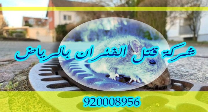 شركة قتل الفئران بالرياض