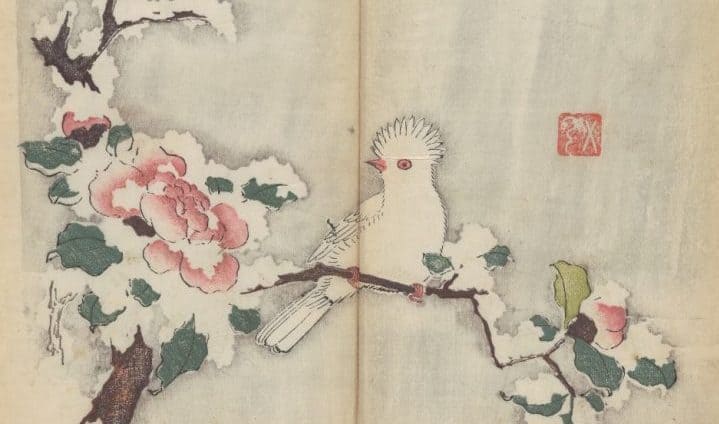 The World’s Oldest Multicolor Book, a 1633 Chinese Calligraphy & Painting Manual, Now Digitized and Put Online 1 The World’s Oldest Multicolor Book