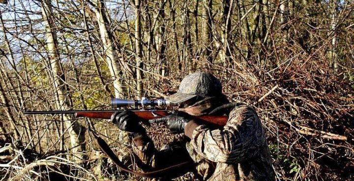 scope for 450 bushmaster scope for 450 bushmaster