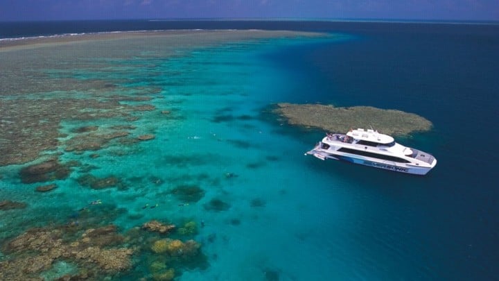 How to scuba dive the Great Barrier Reef and avoid the crowds