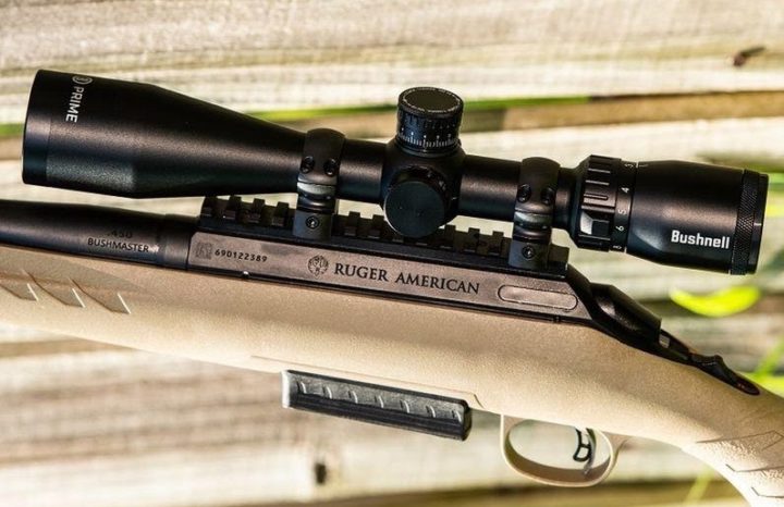 17 wsm scope 17 wsm scope