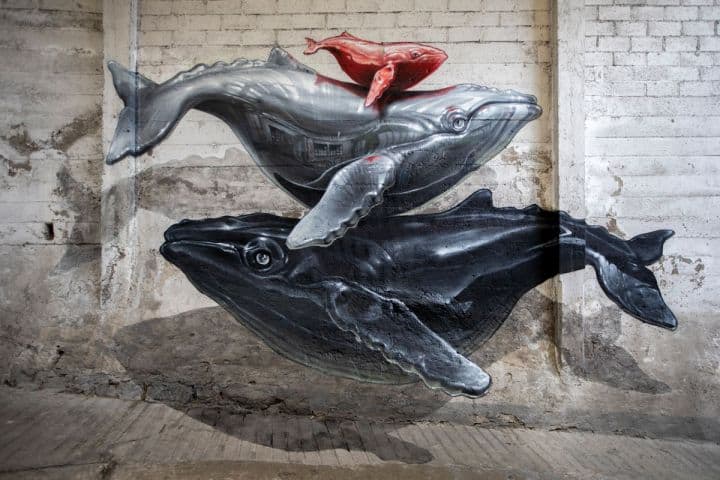 Celsius by Nevercrew in Lugano (Switzerland) 1 "Celsius" by Nevercrew