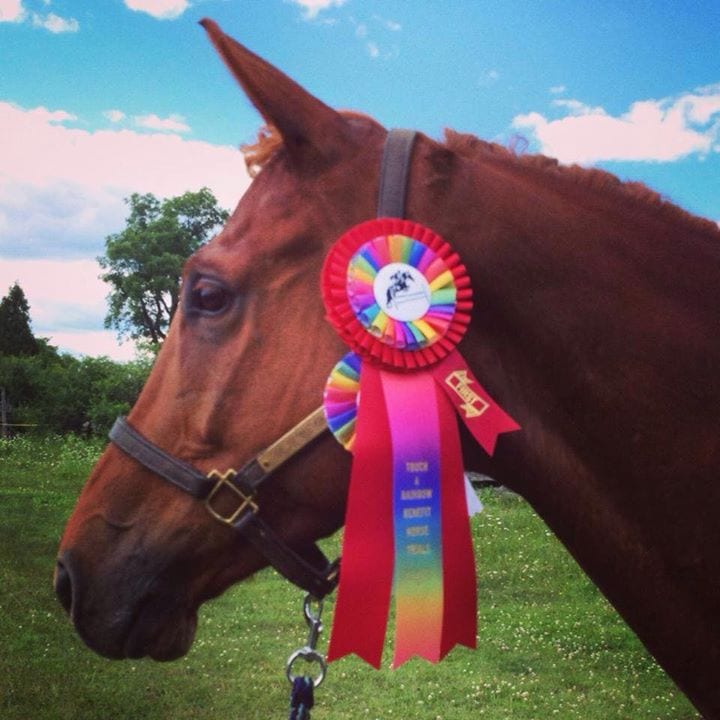 Photo courtesy of A Filly's Best Friend