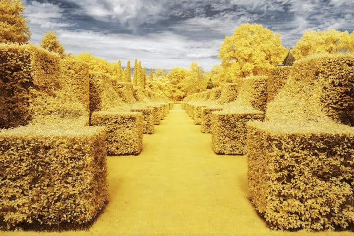 Infrared Photographs by Pierre-Louis Ferrer