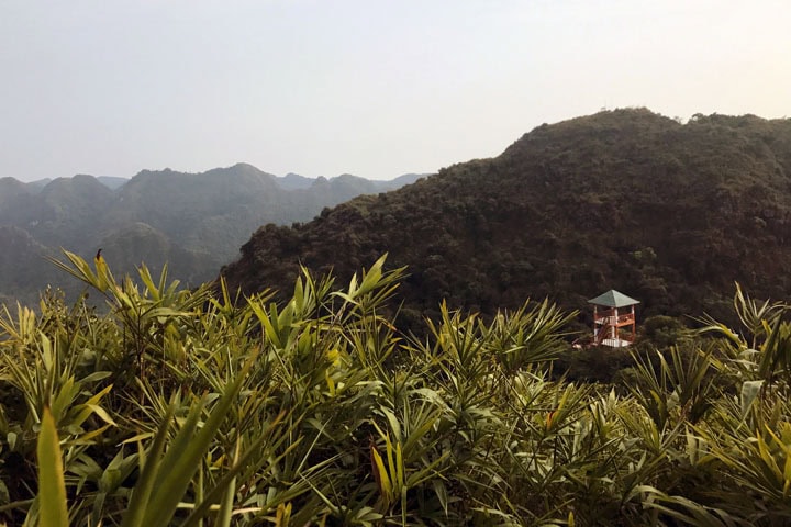 Good Morning Cat Ba