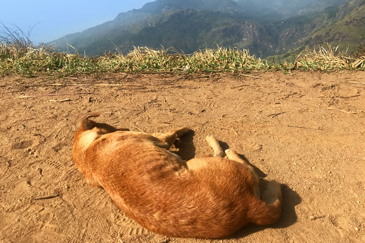 Small Adam's Peak