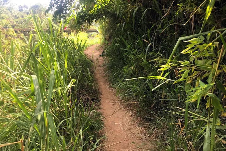 Small Adam's Peak